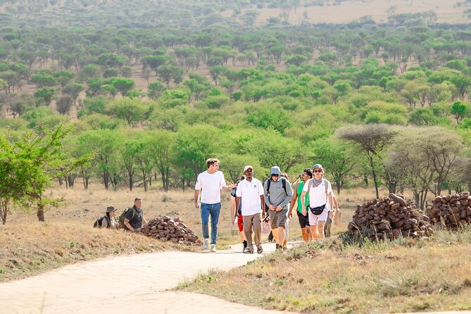 Tanzania Wildlife Encounters - 6 Days - Day 6: The early Ngorongoro Crater drive and the picnic lunch in the bowl