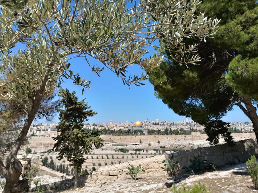 Tel Aviv: Jerusalem, Bethlehem & Dead Sea - Walking, stairs, and modest dress: the real checklist