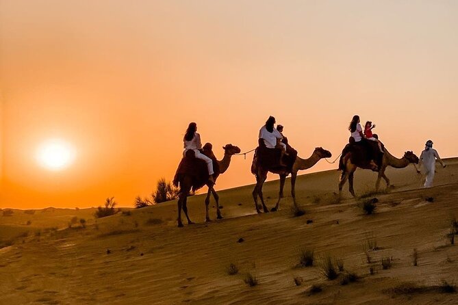 Thrilling 4-Hour Dune Bashing & Camel Ride Safari to Inland Sea - Stop 1 in Doha: Scenic Drive Before the Desert