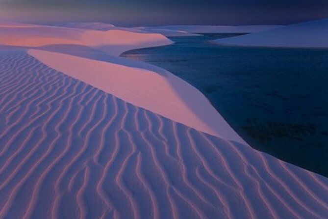 Thrilling 4-Hour Dune Bashing & Camel Ride Safari to Inland Sea - Dune Bashing at Sealine Beach: Where the Heart Starts Racing