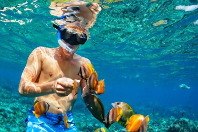 Tiran Island Snorkeling Excursion - Boat comfort, crew, and safety: what makes or breaks the day