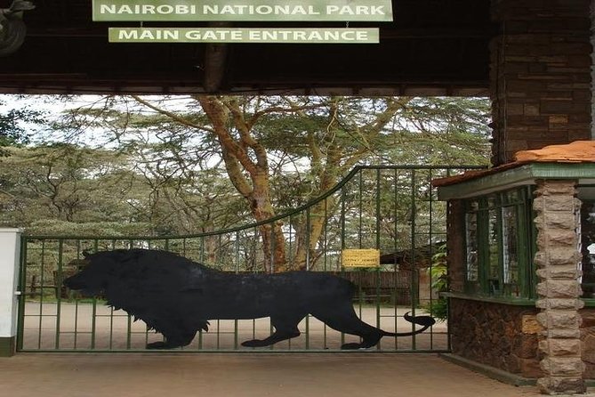 Tour: Giraffe Center and Nairobi National Park - Timing tips you can use immediately