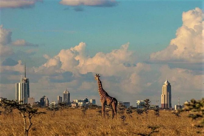 Tour: Giraffe Center and Nairobi National Park - If your day includes extra stops like an orphanage or workshop