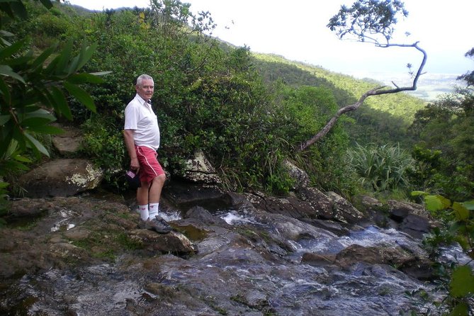 Tropical South West of Mauritius: Full-day All Inclusive tour (Visit to 3 parks) - Why this southwest Mauritius loop feels like a best-of day