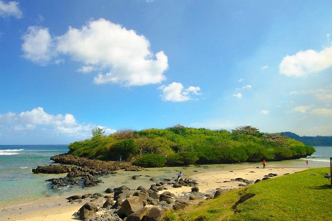 Tropical South West of Mauritius: Full-day All Inclusive tour (Visit to 3 parks) - Black River Gorges National Park viewpoints: greenery, height, and waterfalls