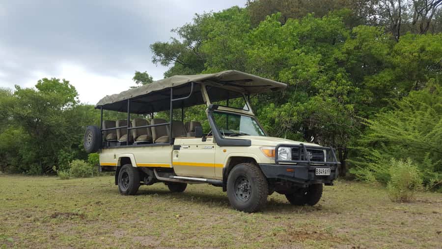Victoria Falls: Chobe National Park Day Trip with Lunch - Lunch at the lodge: a break that keeps the safari moving