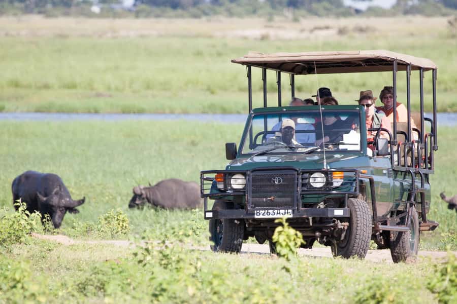 Victoria Falls: Chobe National Park Day Trip with Lunch - Quadripoint views and the Kazungula Bridge crossing