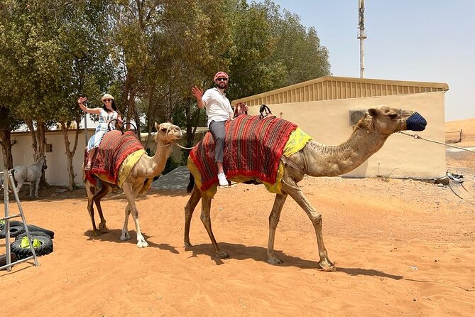 Vip Desert Safari Dubai with Camel Riding BBQ Dinner & Live Shows - BBQ Dinner Under the Stars: What You’re Actually Paying For