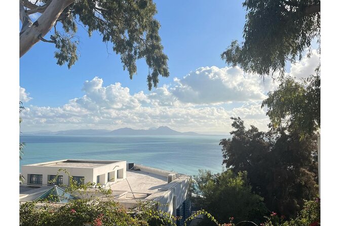 VIP Tour: Tunis Medina/Bardo, Sidi Bou Said, Carthage |PICKUP ALL - Medina of Tunis or Bardo: choose the style of old Tunisia you want