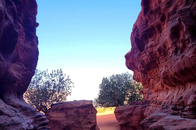 Wadi Rum Full Day Jeep Tour + Overnight & Dinner in Bedouin Camp - Price and Value: What $107.87 Covers (and Why It’s Fair)