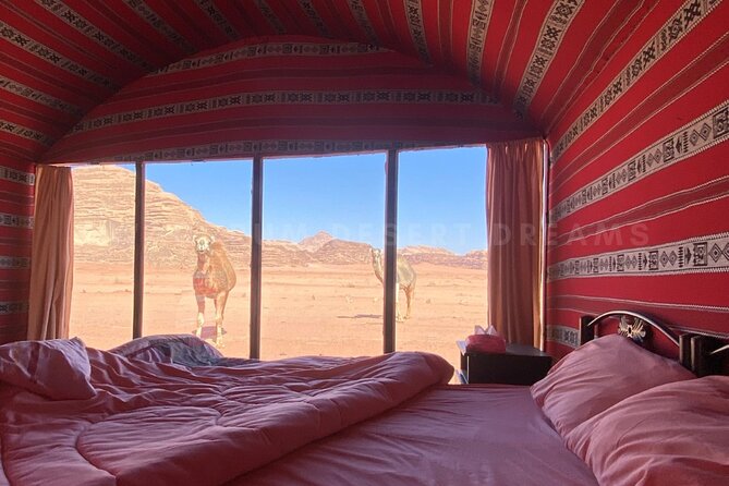 Wadi Rum Full Day Jeep Tour + Overnight & Dinner in Bedouin Camp - Should You Book This Wadi Rum Full-Day Jeep Tour With Overnight?