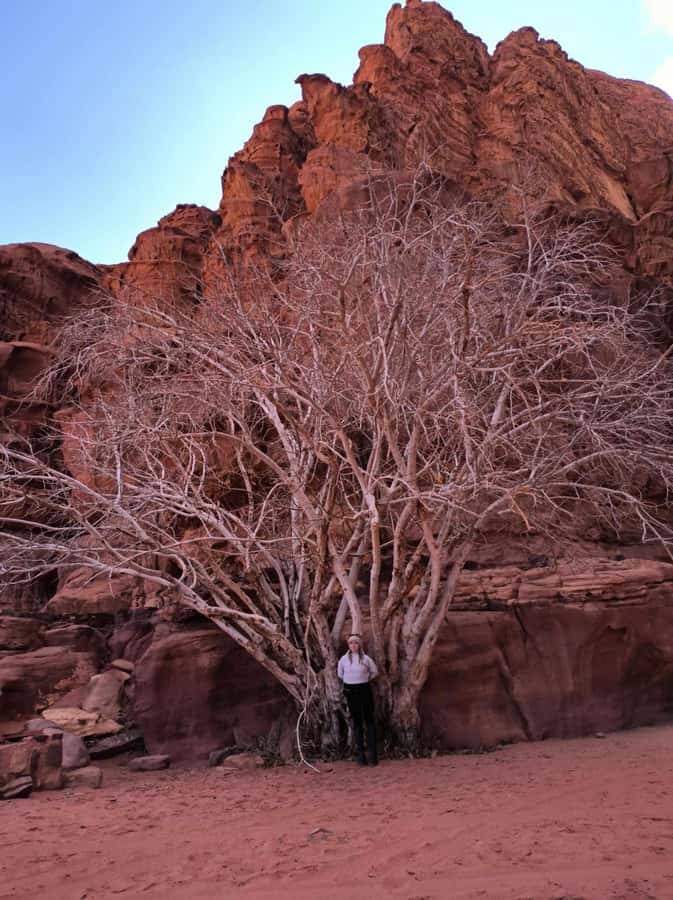 Wadi Rum: Morning or Sunset Jeep Tour - Lawrence’s Spring: A Short Stop That Sets the Tone