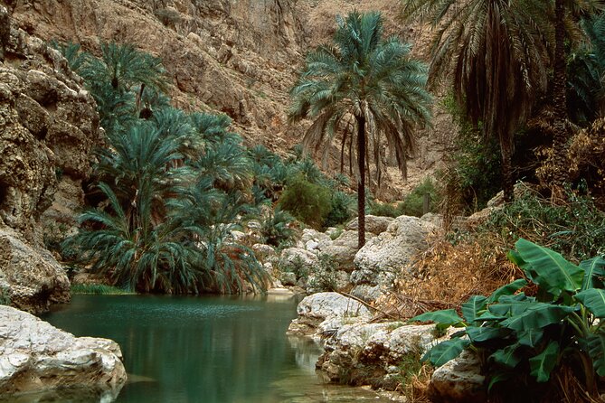 Wadi Shab and Bimmah Sinkhole Group Full Day Tour - What’s Included, What Isn’t, and What to Bring