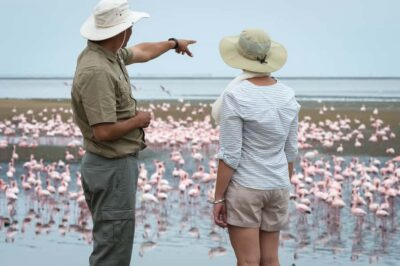 Walvis Bay: 4x4 Desert Excursion to Sandwich Harbour Bay - Walvis Bay Lagoon and the bird-rich tidal wetlands