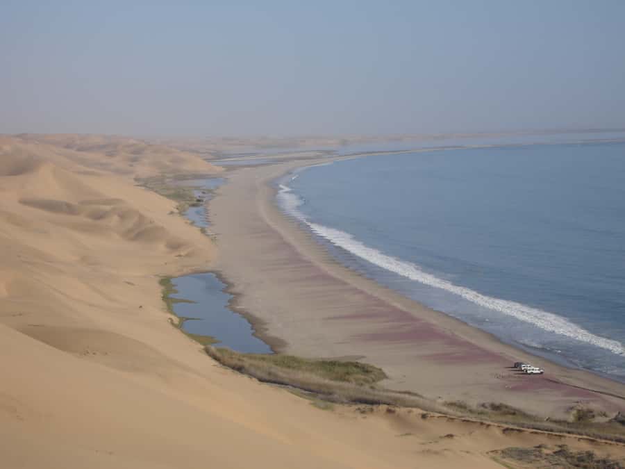 Walvis Bay: 4x4 Desert Excursion to Sandwich Harbour Bay - Desert survival lessons you can actually see