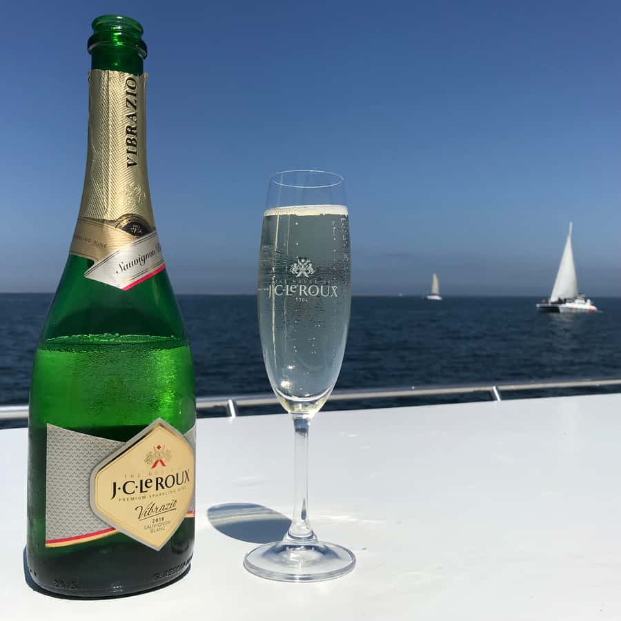 Walvis Bay: Marine Big 5 Luxury Catamaran Tour - Lunch at sea: oysters, sparkling wine, snacks, and beer