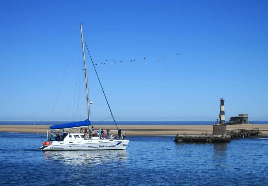 Walvis Bay: Marine Big 5 Luxury Catamaran Tour - Guides and crew: what “good spotting” feels like on board