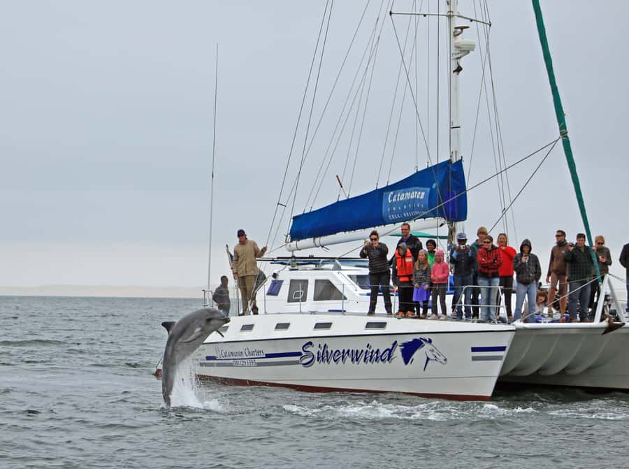 Walvis Bay: Marine Big 5 Luxury Catamaran Tour - Who should book this cruise, and who might prefer another style