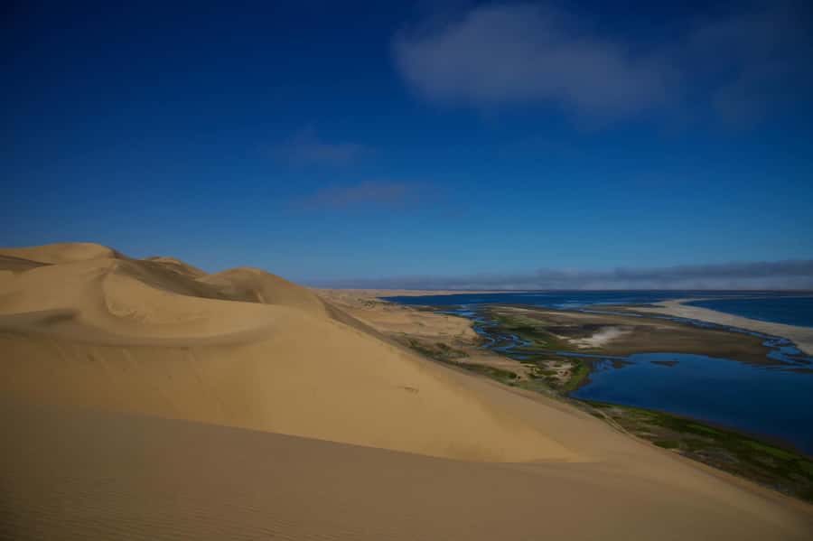 Walvis Bay: Sandwich Harbour Half-Day 4x4 Scenic Excursion - Salt works to Sandwich Harbour: beach-and-dune driving that actually goes places