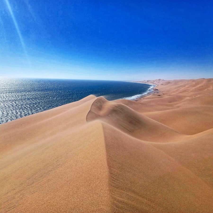 Walvis Bay: Sandwich Harbour Half-Day 4x4 Scenic Excursion - Desert picnic lunch in the dunes: food that feels like part of the landscape