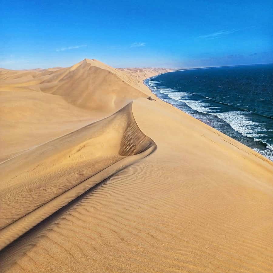 Walvis Bay: Sandwich Harbour Half-Day 4x4 Scenic Excursion - What to bring (and what to leave behind)