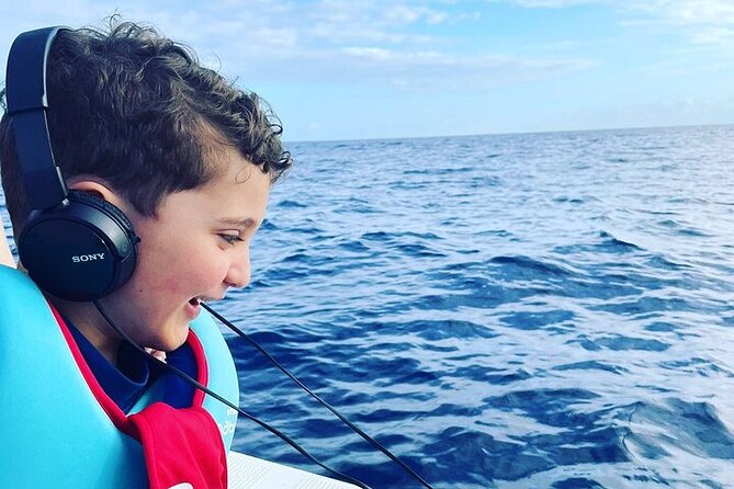 Whale Dream ltd - Whales watching and swim with dolphins - Who should book this Dolphin-and-Whale morning