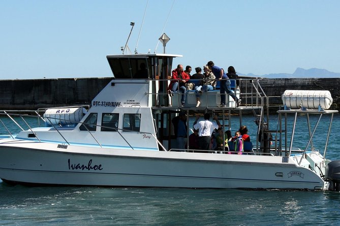 Whale Watching from Gansbaai - Beyond whales: dolphins, sharks, and penguins on the same outing