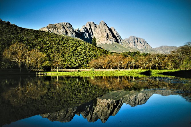 Wine Tour to Stellenbosch & Franschhoek with Tastings & Lunch - What You Actually Get: Tastings, Pairings, Lunch, and Intimate Group Time