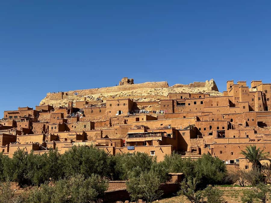 Zagora Desert: 2-Day 1-Night Desert Expedition to Remember - Sunrise morning and the return camel ride to the van