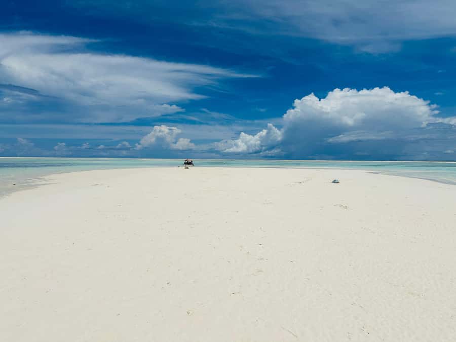 Zanzibar: Mnemba Island Dolphin and Snorkeling Tour - Price and value: how $40 stacks up in Zanzibar terms