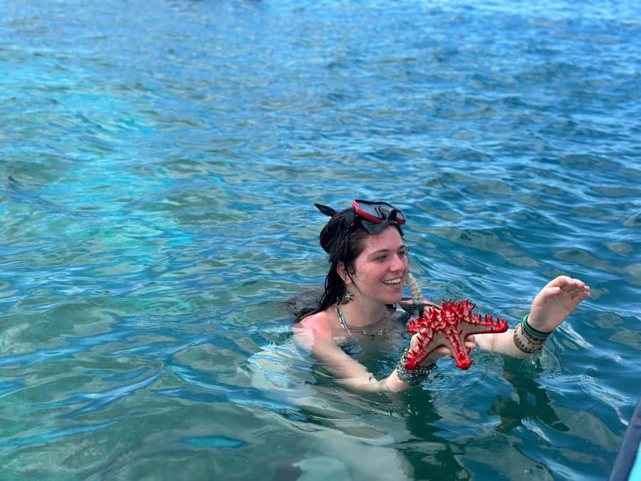 Zanzibar: Mnemba Island Dolphin and Snorkeling Tour - Who this tour suits best (and who should skip it)