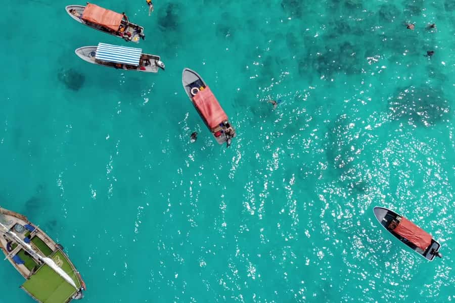 Zanzibar: Mnemba Island Dolphin and Snorkeling Tour - Pickup, start point, and how the day actually flows