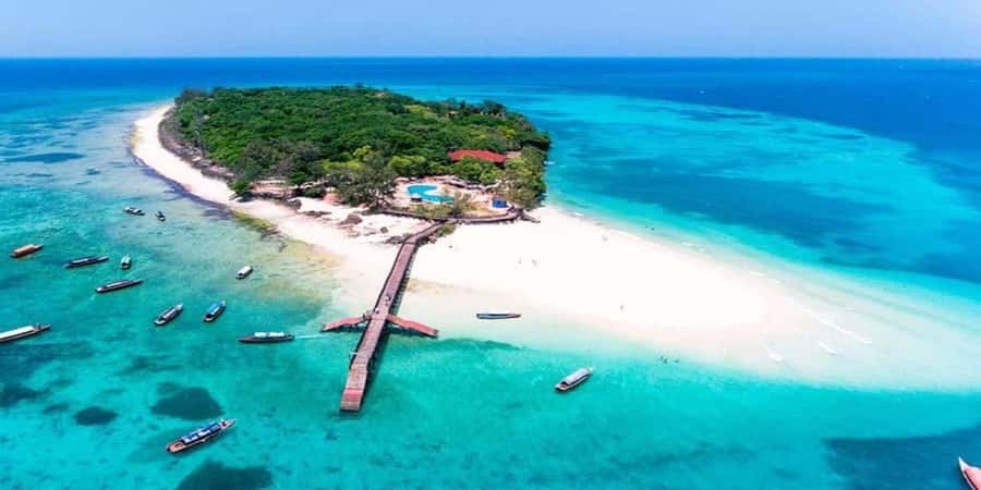 Zanzibar: Prison Island and Nakupenda Boat Trip with Lunch - Feeding the giants: what you should plan for