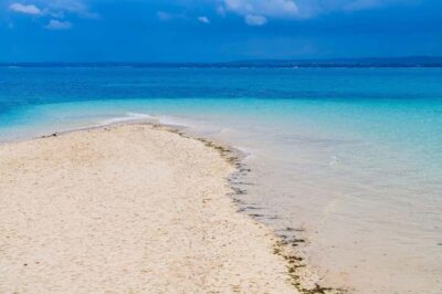 Zanzibar; Prison Island, Nakupenda, StoneTown Tour with BBQ - Prison Island: what you’ll get in 1.5 hours (and what you won’t)