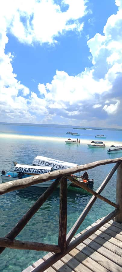 Zanzibar; Prison Island, Nakupenda, StoneTown Tour with BBQ - Boat rides, timing, and group pace: how to avoid feeling rushed