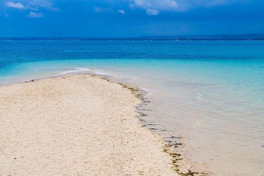 Zanzibar; Prison Island, Nakupenda, StoneTown Tour with BBQ - Prison Island: what you’ll get in 1.5 hours (and what you won’t)