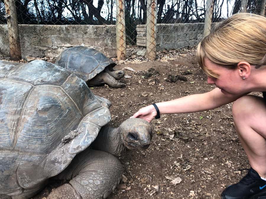 Zanzibar: Prison Island, Stone Town, & Spice Farm Tour - Prison Island (Changuu): Tortoises Plus an 1893 Prison