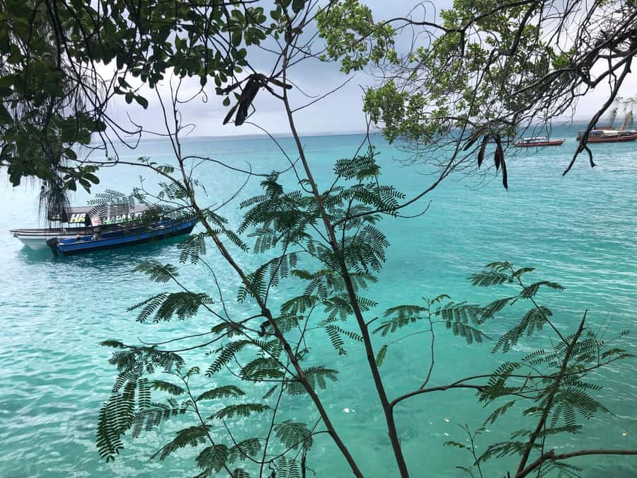 Zanzibar: Prison Island, Stone Town, & Spice Farm Tour - Timing, Sun, and the Real-Life Pace of an 8-Hour Day