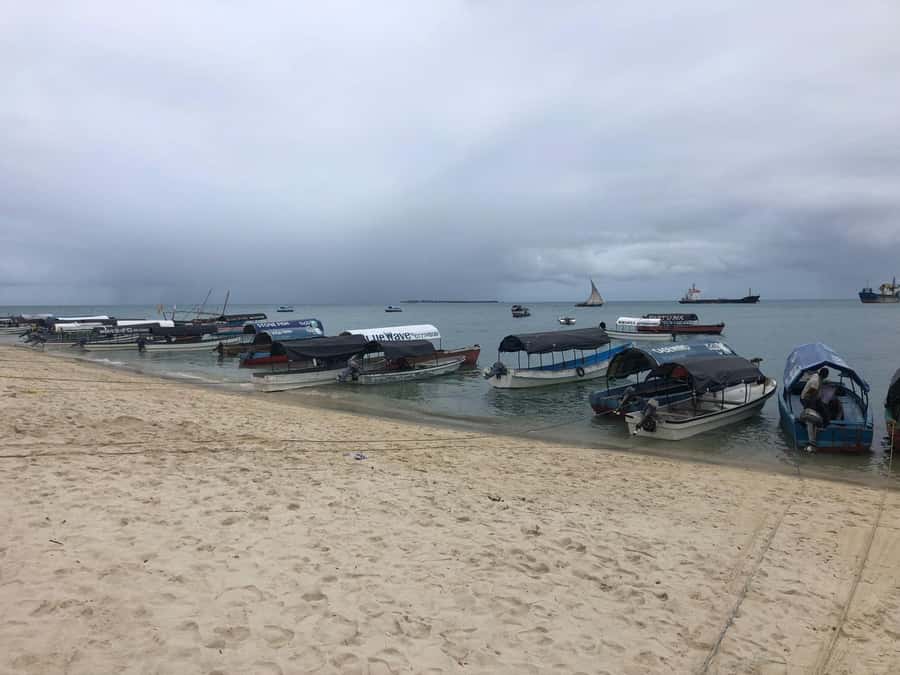 Zanzibar: Prison Island, Stone Town, & Spice Farm Tour - Hotel Pickup, Van Rides, and Getting Your Bearings