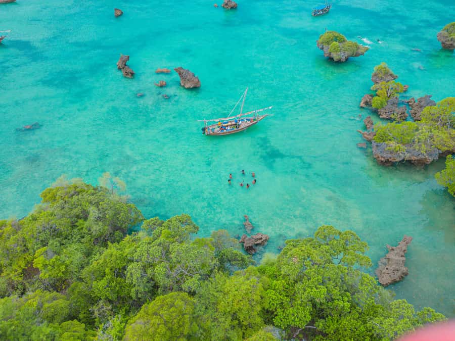 Zanzibar: Safari Blue Lagoon Trip with Snorkeling and Lunch - Who this trip suits best (and who should think twice)